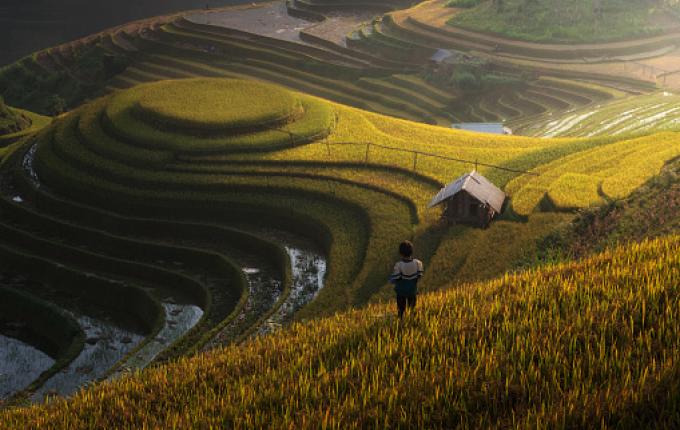 Mekong Delta