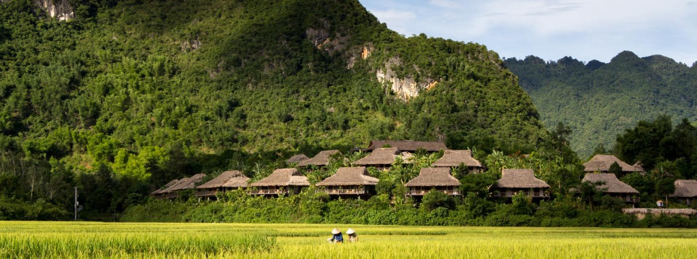 Mai Chau